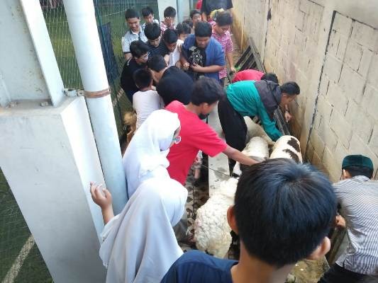 Qurban Sebagai Ibadah Sosial